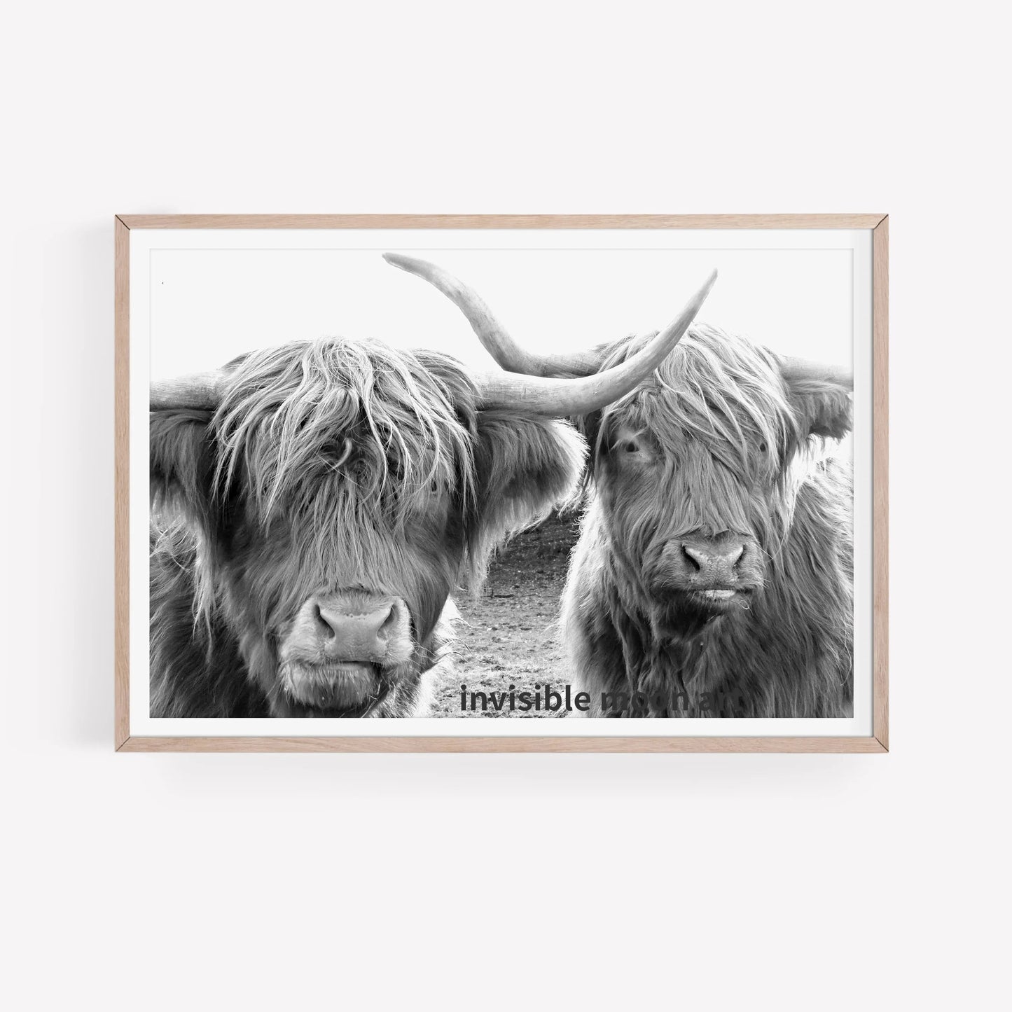 Scottish Highland Cow & Calf Canvas Art Print