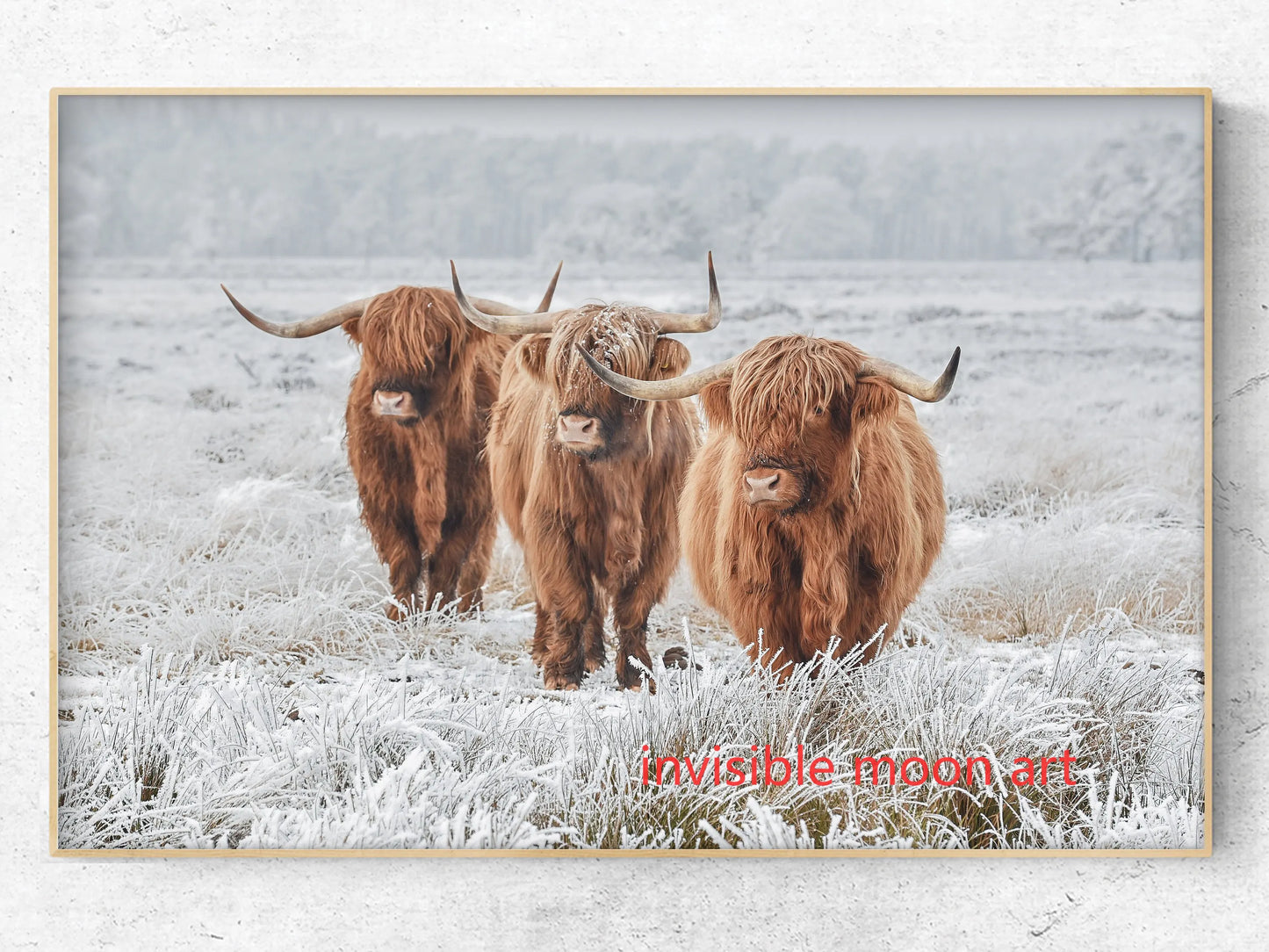 Scottish Highland Cow & Calf Canvas Art Print