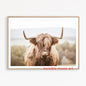 Scottish Highland Cow & Calf Canvas Art Print