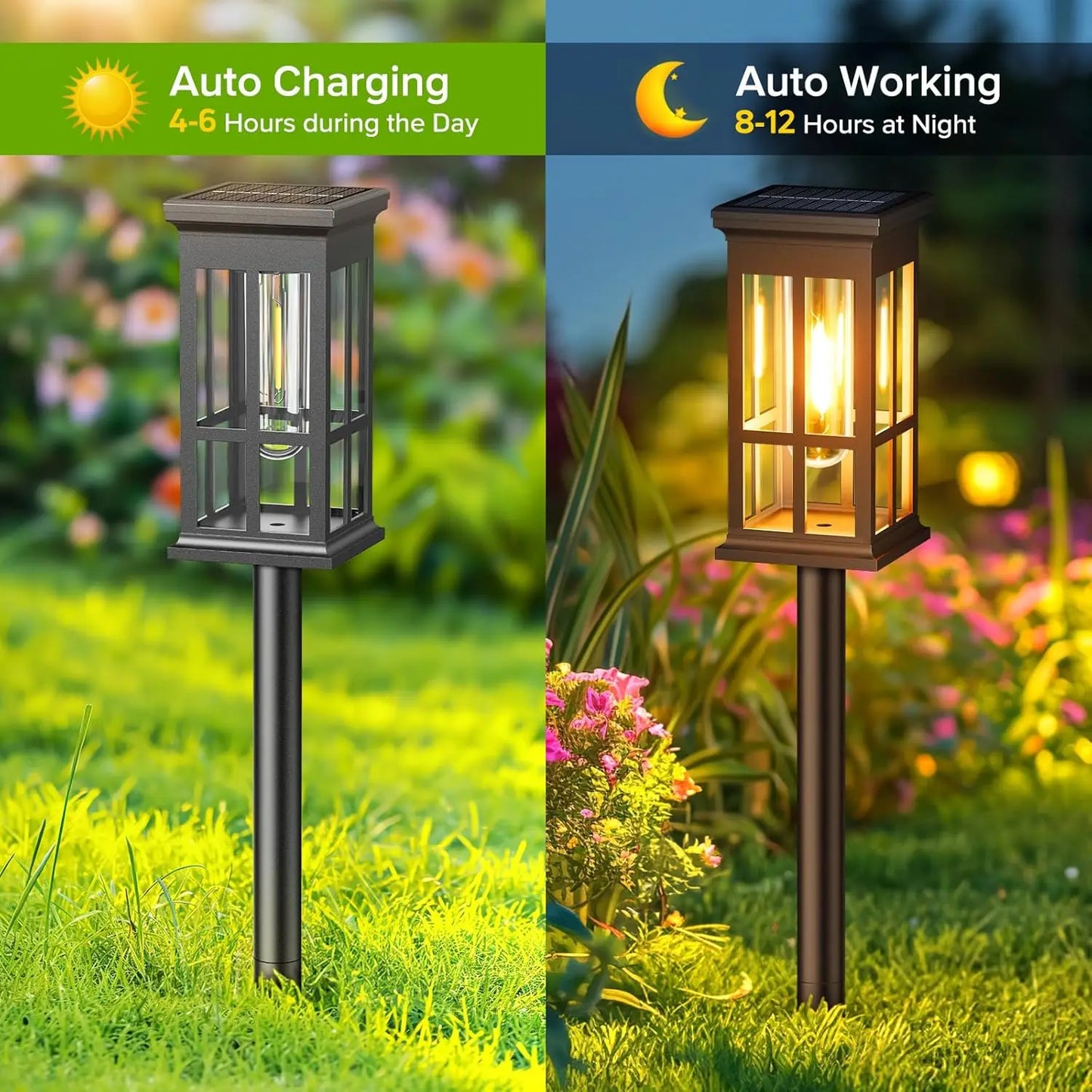 2/6/8 Pack Solar Pathway Lights - Super Bright