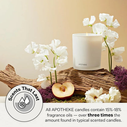 Sea Salt Grapefruit 26 oz Soy Wax Jar Gift