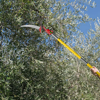 24ft Manual Pole Saw, Lightweight Tree Trimmers