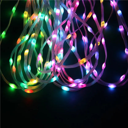 Full Dream Color LED Strip String Fairy Lights