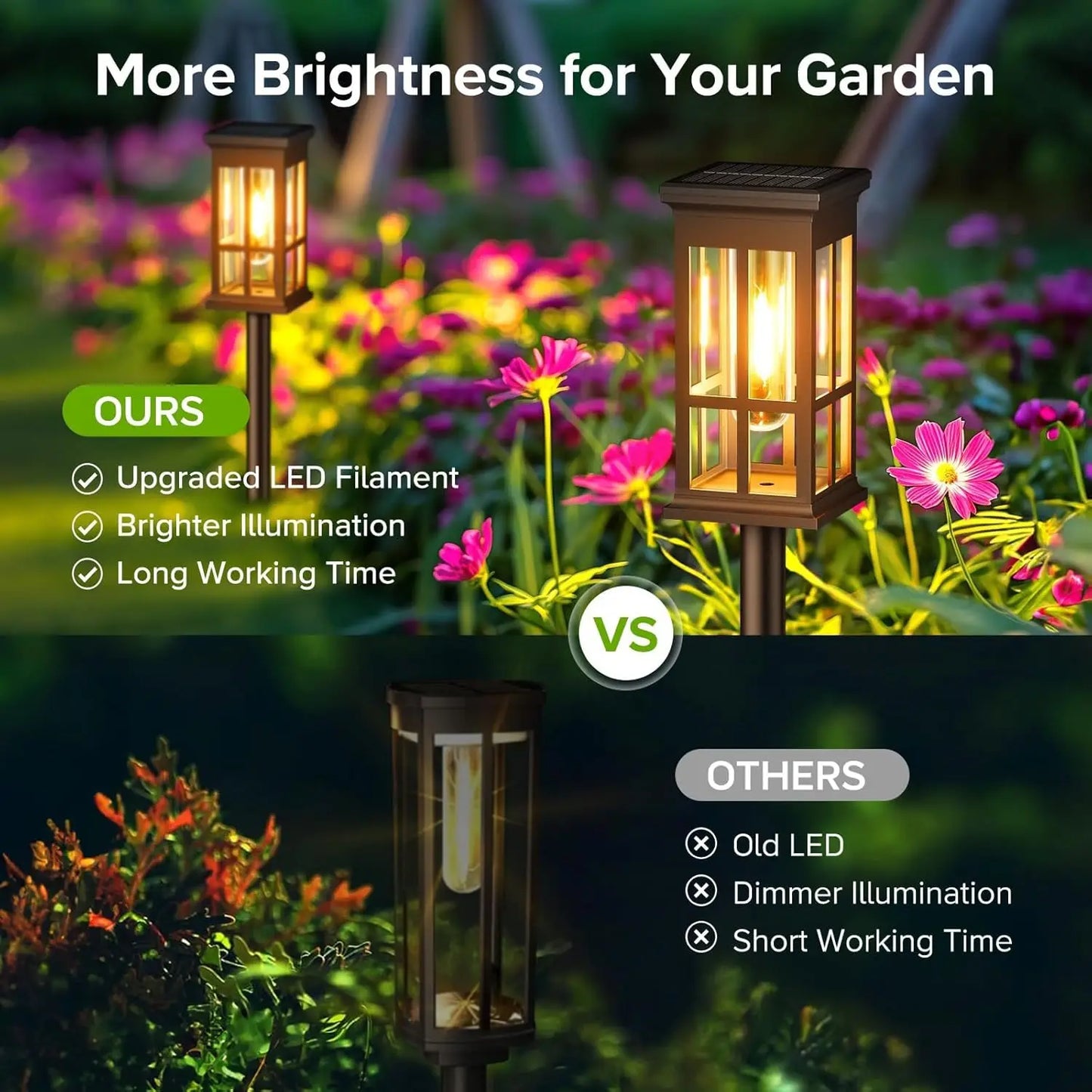 2/6/8 Pack Solar Pathway Lights - Super Bright
